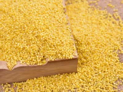 人民食品 有机黄小米 东北五谷杂粮小米营养粥米410g/瓶图4