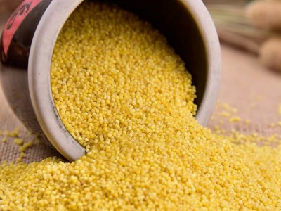 人民食品 有机黄小米 东北五谷杂粮小米营养粥米410g/瓶图3