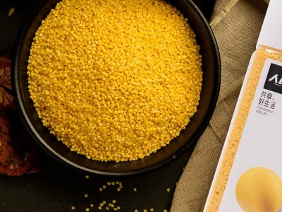 人民食品 有机黄小米 东北五谷杂粮小米营养粥米410g/瓶图2