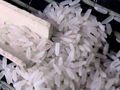 自家产地稼仙大米金桂银月米10kg家庭装米粒饱满光亮南方大米现货图3