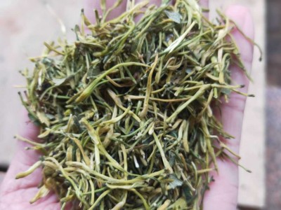 云南金银花 山东 湖南金银花 花草茶产地货源散装批发500g起批图5