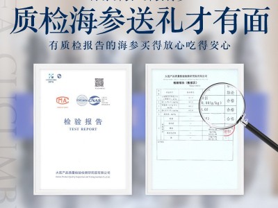 大连鲜食海参即食海参口感Q弹 6-8头规格鲜活海参大连海参500g/盒图3