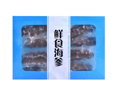大连鲜食海参即食海参口感Q弹 6-8头规格鲜活海参大连海参500g/盒图5