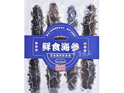 大连鲜食海参即食海参口感Q弹 6-8头规格鲜活海参大连海参500g/盒图4