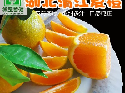 湖北长阳现摘现发夏橙 酸甜可口黄板箱9斤装图2