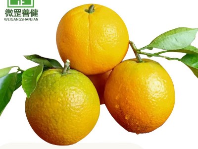 湖北长阳柑姑娘夏橙9斤彩箱装 新鲜应季不打腊水果 产地现摘现发图4