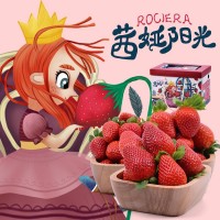 云南茜娅阳光草莓现摘现发新鲜当季水果大草莓新年年货礼盒装大果