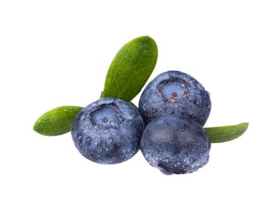 丹东蓝莓鲜果现摘现发水果蓝莓孕妇宝宝辅食当季顺丰空运箱装蓝莓图5