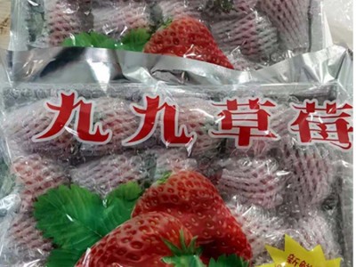 顺丰发货 丹东九九草莓大果 新鲜当季水果奶油红颜大白草莓图4