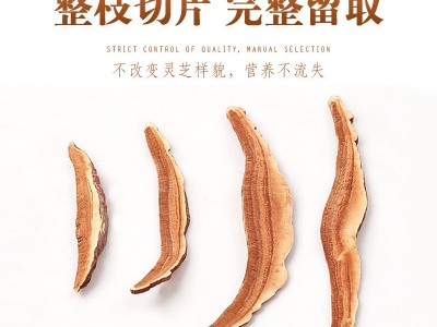 灵芝片批发灵芝切片 长白山灵芝 椴木灵芝片罐装 中药材泡酒泡茶图3