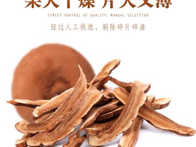 灵芝片批发灵芝切片 长白山灵芝 椴木灵芝片罐装 中药材泡酒泡茶图2