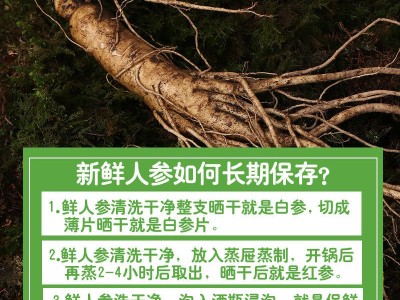鲜人参1斤鲜野山参东北鲜参泡酒新鲜人参吉林长白山人参500克图3