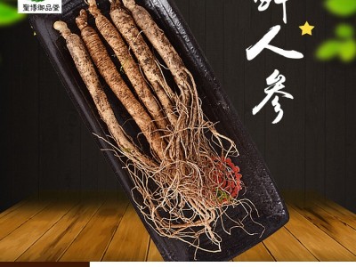 圣博鲜参 长白山人参 带土鲜人参现挖现卖东北特产1元参 鲜参包邮图2