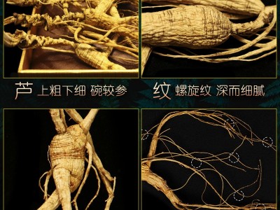 林下参干货东北人参长白山野山参野生晒籽老山叁泡酒礼盒现货代发图3