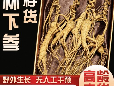 林下参干货东北人参长白山野山参野生晒籽老山叁泡酒礼盒现货代发图2
