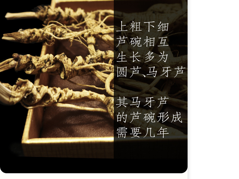 未标题-1_11.jpg