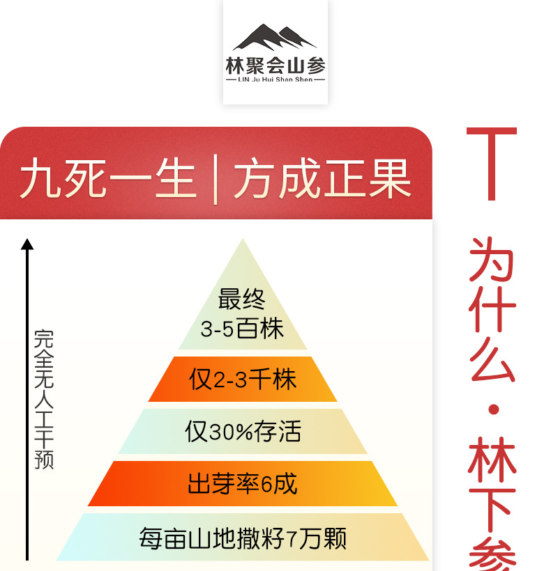 未标题-1_09.jpg