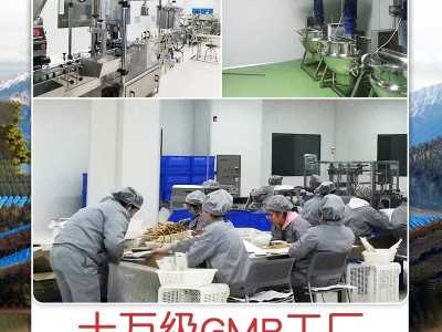 长白山人参批发整枝长白山干参生晒参白参东北特产人参干货图4