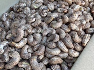 新货越南带皮腰果净重500g包邮袋装炭烧腰果散装坚果零食炒货图2
