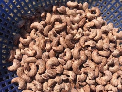 新货越南带皮腰果净重500g包邮袋装炭烧腰果散装坚果零食炒货图3