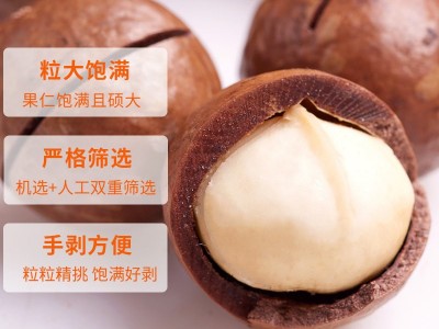 津太多厂家夏威夷果袋装奶香味坚果网红休闲零食小吃批发送开口器图3