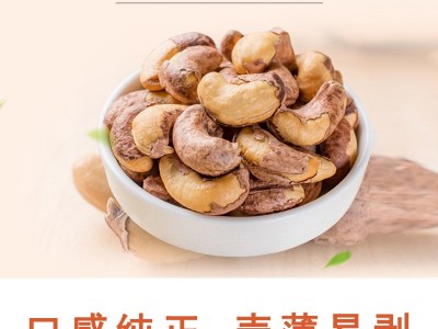 越南腰果零食罐装袋装干果散装带衣盐焗腰果每日坚果零食一手货源图2
