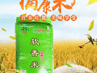 苏北大米香粳米软糯香南粳米餐饮家用珍珠米蟹田稻田米 1吨起批图2