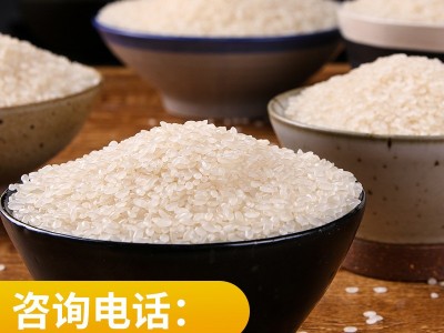 东北特产珍珠米10斤小町大米直批 新米5kg粳米福利农产品会销礼品图3