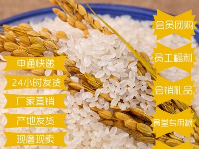 东北特产珍珠米10斤小町大米直批 新米5kg粳米福利农产品会销礼品图2