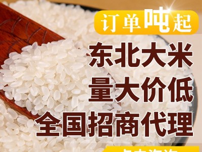 2022年东北新粮大米直批 特产辽星小长粒5kg香米10斤农家产地货源图2