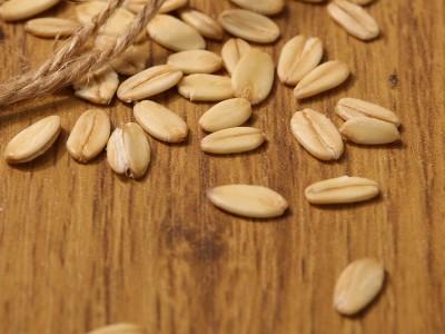 生燕麦片生农家纯麦片水煮非即食需煮五谷杂粮散装煮粥500g图2