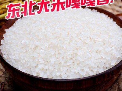 厂家直批东北大米5kg黑龙江特产圆粒珍珠米新米10斤粮油会销礼品图2