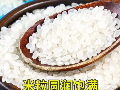 2021年东北大米5kg黑龙江特产圆粒珍珠米新米10斤东北大米批发图2