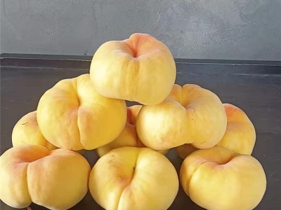 黄毛蟠桃新鲜水果 早熟露天蟠桃红脆甜桃蟠桃现摘现发图3