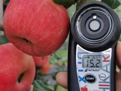 蜜脆苹果新鲜苹果水果脆甜整箱当季包邮10斤装现摘现发孕妇水果图2