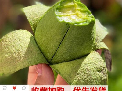 墨西哥牛油果新鲜大果进口鳄梨当季宝宝孕妇水果整箱批发一件代发图3