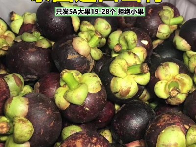 泰国山竹5斤一箱大果新鲜山竹果进口鲜果孕妇水果批发价一件代发图4