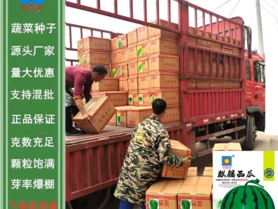 跑江湖地摊蔬菜种子批发草莓混批瓜果菜籽番茄黑番茄小白菜九粒白图2