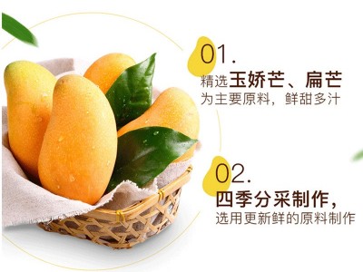 小丫快跑芒果干休闲零食蜜饯果脯100gX6包风味小吃批发一件代发图2
