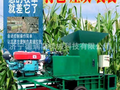 青储打包机小型玉米秸秆青贮压块机黄储牧草打捆机青储饲料打包机图3