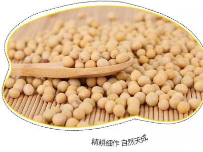 食泉坊豆浆黄豆五谷杂粮图4