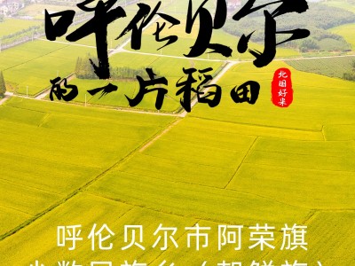 2021新米呼伦贝尔大米长粒香米东北大米50斤25kg产地批发加工定制图4