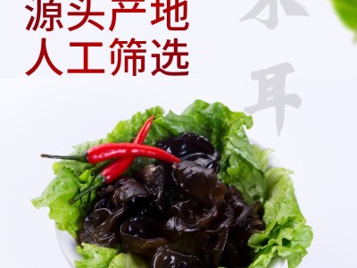 木耳汪清黑木耳 干货袋装500g包邮 当年新木耳 厂家批发 现货供应图3