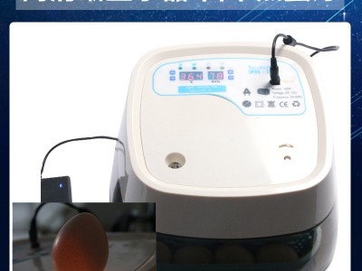 工厂直销孵化机小型全自动家用型鸡蛋孵化设备孵化器迷你智能孵化图1