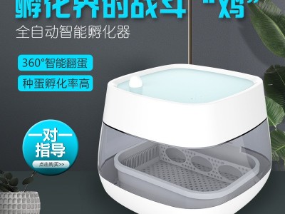工厂直销孵化机小型全自动家用型鸡蛋孵化设备孵化器迷你智能孵化图2