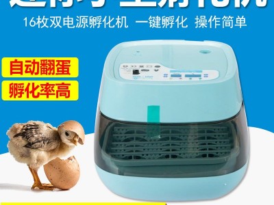 工厂直销孵化机小型全自动家用型鸡蛋孵化设备孵化器迷你智能孵化图2