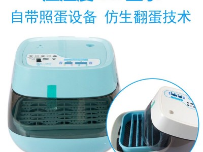 工厂直销孵化机小型全自动家用型鸡蛋孵化设备孵化器迷你智能孵化图4