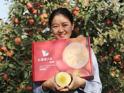 新疆阿克苏冰糖心苹果红旗坡六队特级礼盒装【2022年11月发货】图2