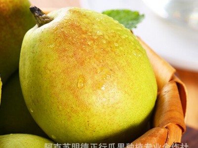 春节不休！新疆库尔勒香梨一级梨子当季水果新鲜包邮整箱图2