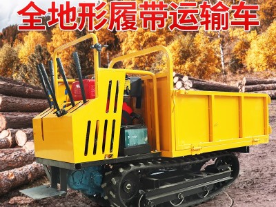 山地履带运输车 小型农用爬山虎座驾式 全地形货物搬运履带车图3